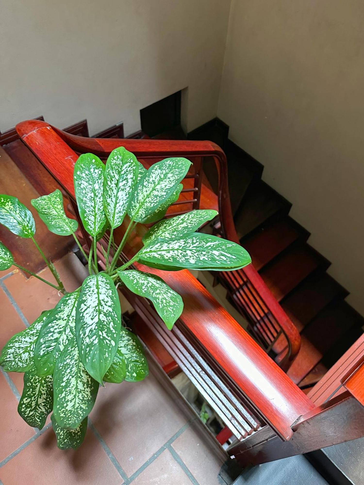 Halo Bay Homestay Ha Long Zewnętrze zdjęcie